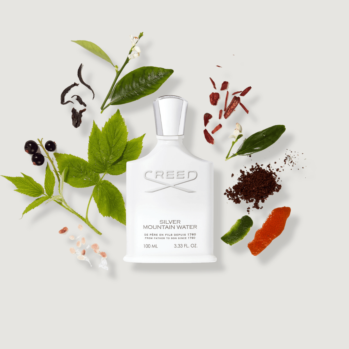 Creed Silver Mountain Water Eau de Parfum 100ml image 0